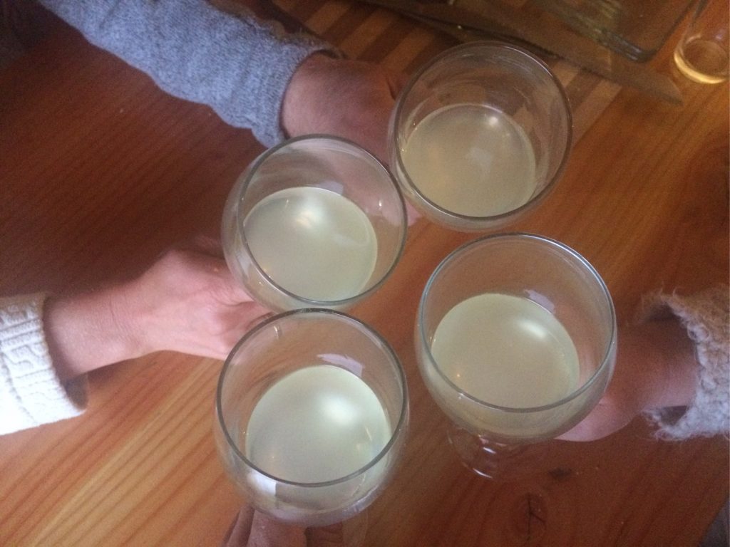 IMG 4516 1024x768 - img_4516