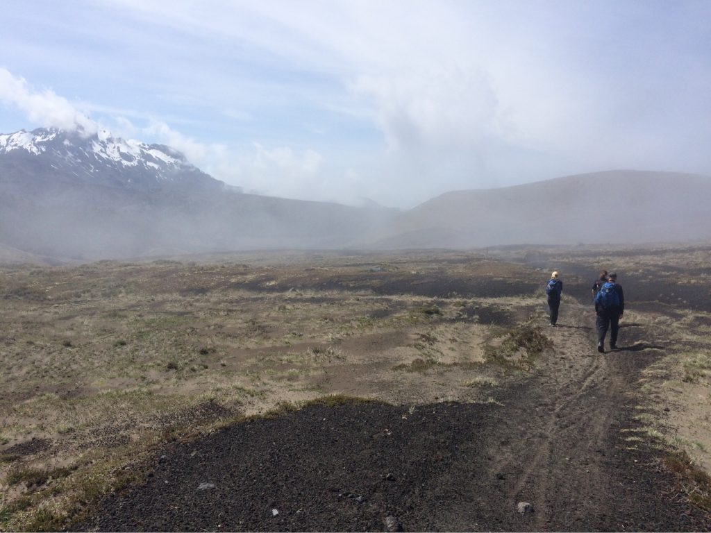 IMG 4858 1024x768 - img_4858