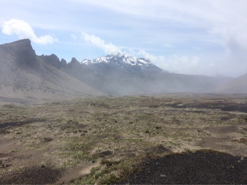 IMG 4859 1024x768 - img_4859