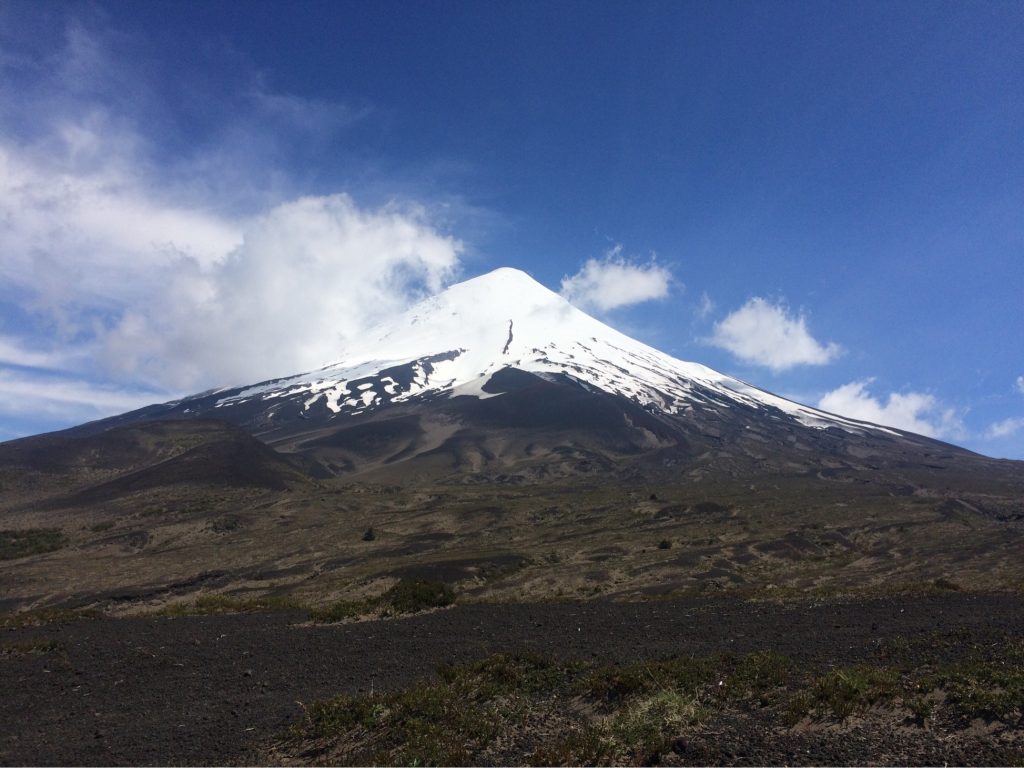 IMG 4891 1024x768 - img_4891