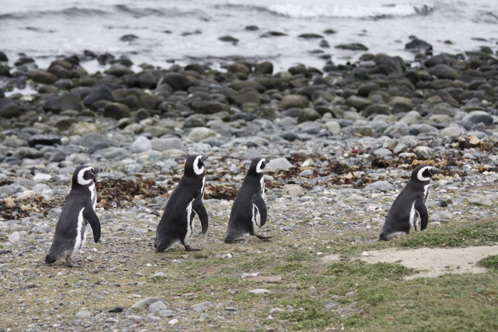 IMG 2130 1024x683 - img_2130