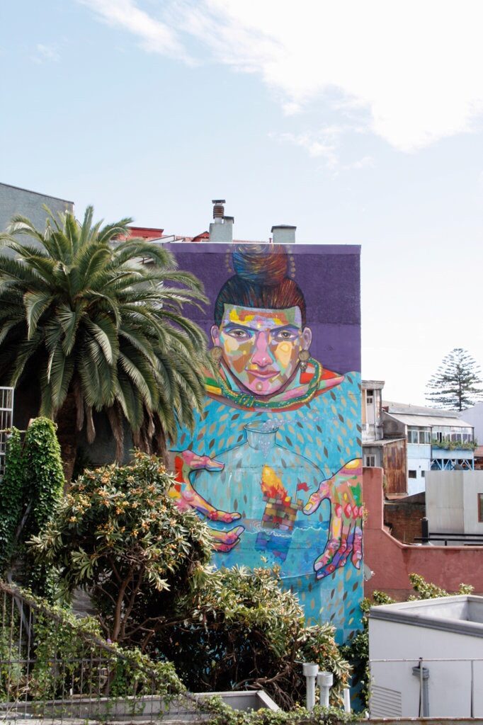 IMG 2139 682x1024 - img_2139