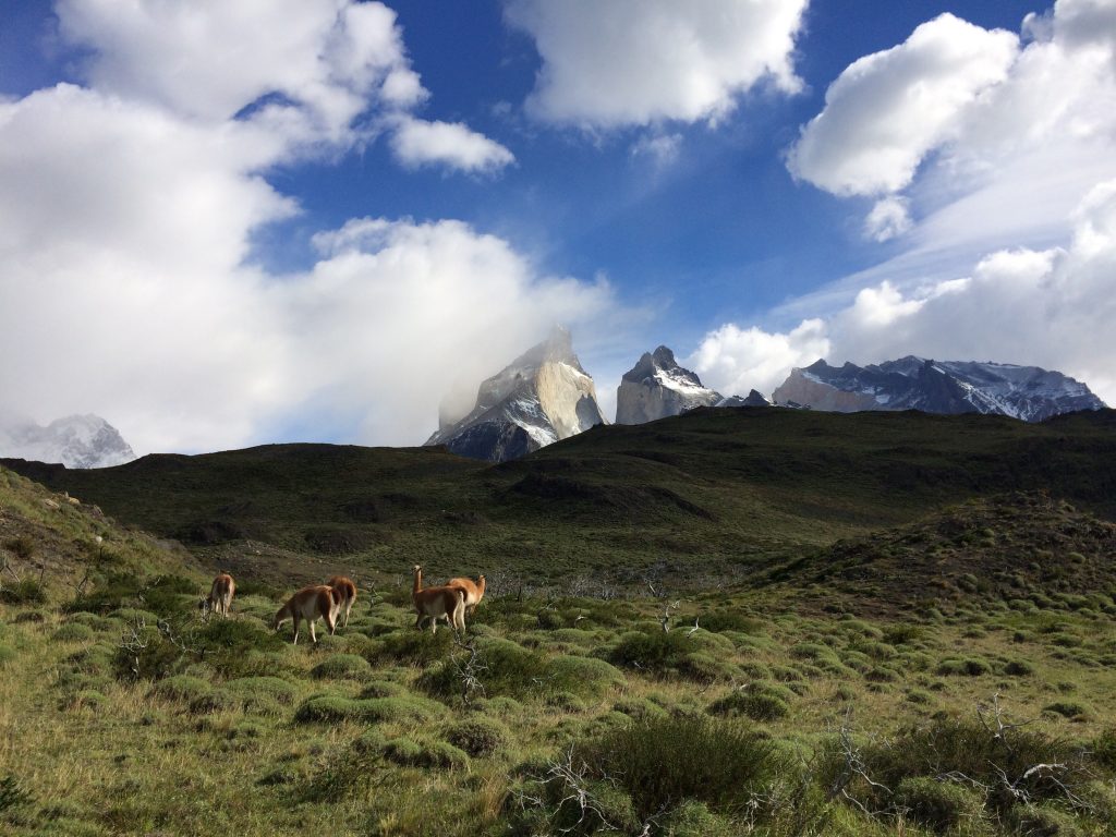 IMG 6712 1024x768 - img_6712