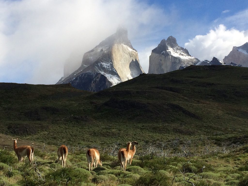 IMG 6713 1024x768 - img_6713