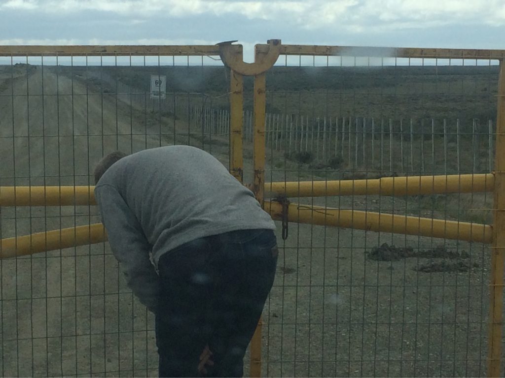 IMG 6905 1024x768 - img_6905