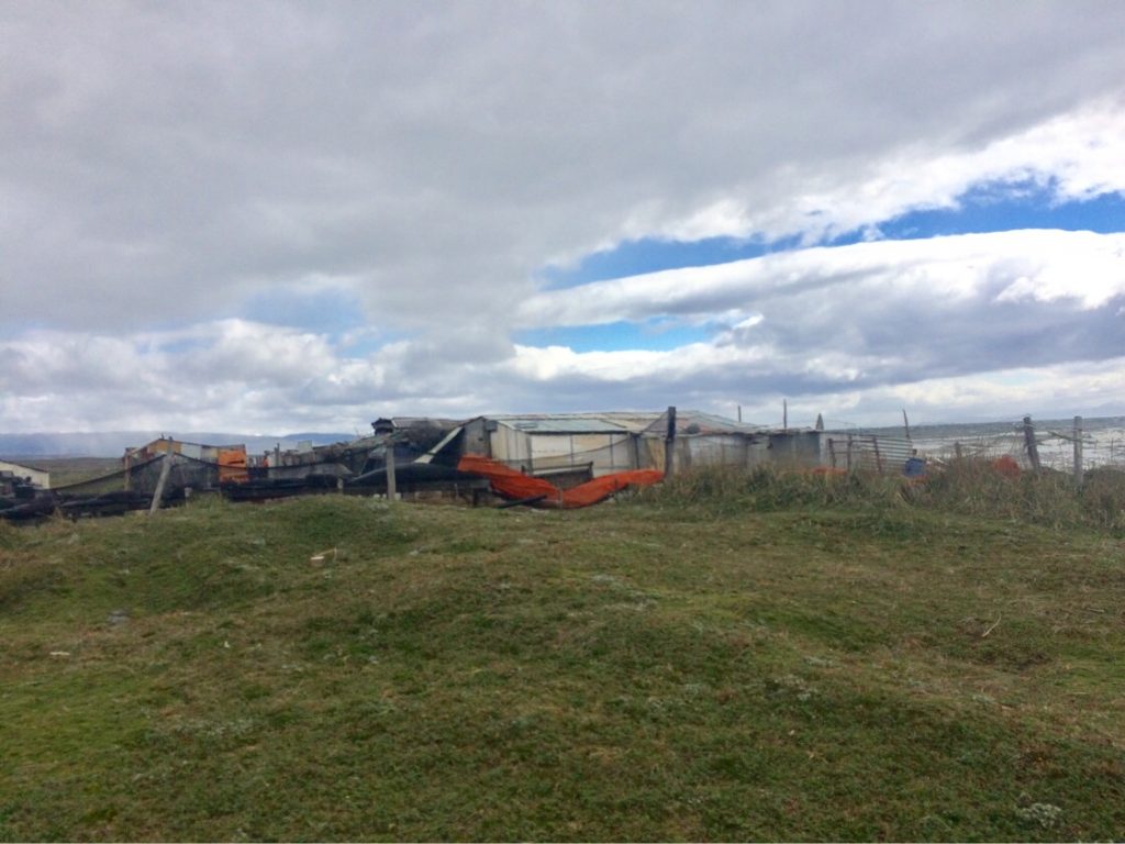 IMG 6918 1024x768 - img_6918