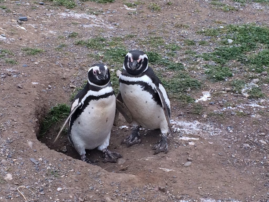 IMG 7149 1024x768 - img_7149