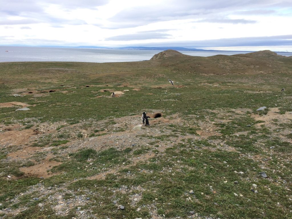 IMG 7165 1024x768 - img_7165