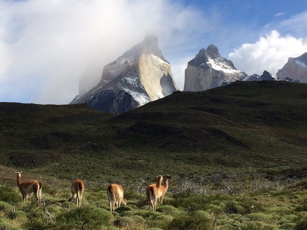 img 6713 1024x768 - img_6713.jpg