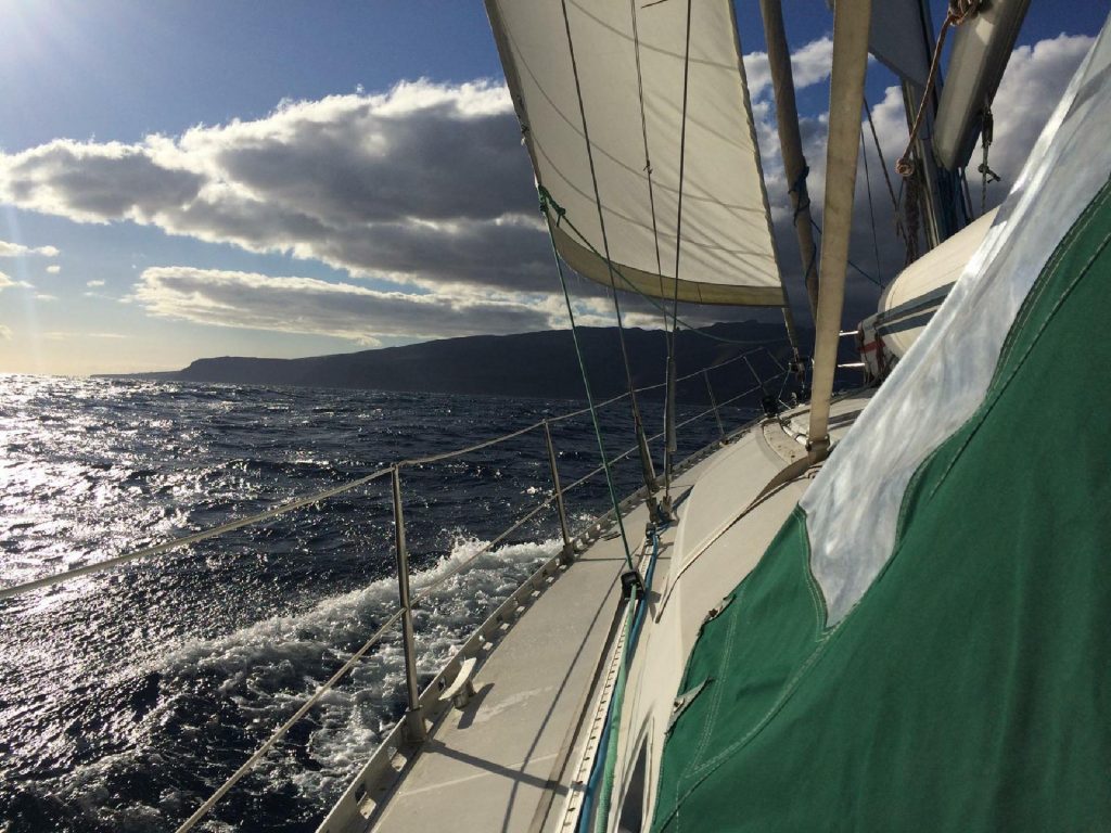 IMG 8137 1024x768 - IMG_8137