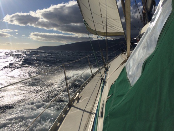 img 4229 1 - img_4229-1.jpg