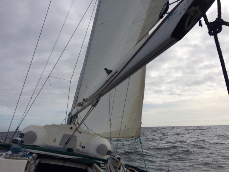 img 4608 - img_4608.jpg