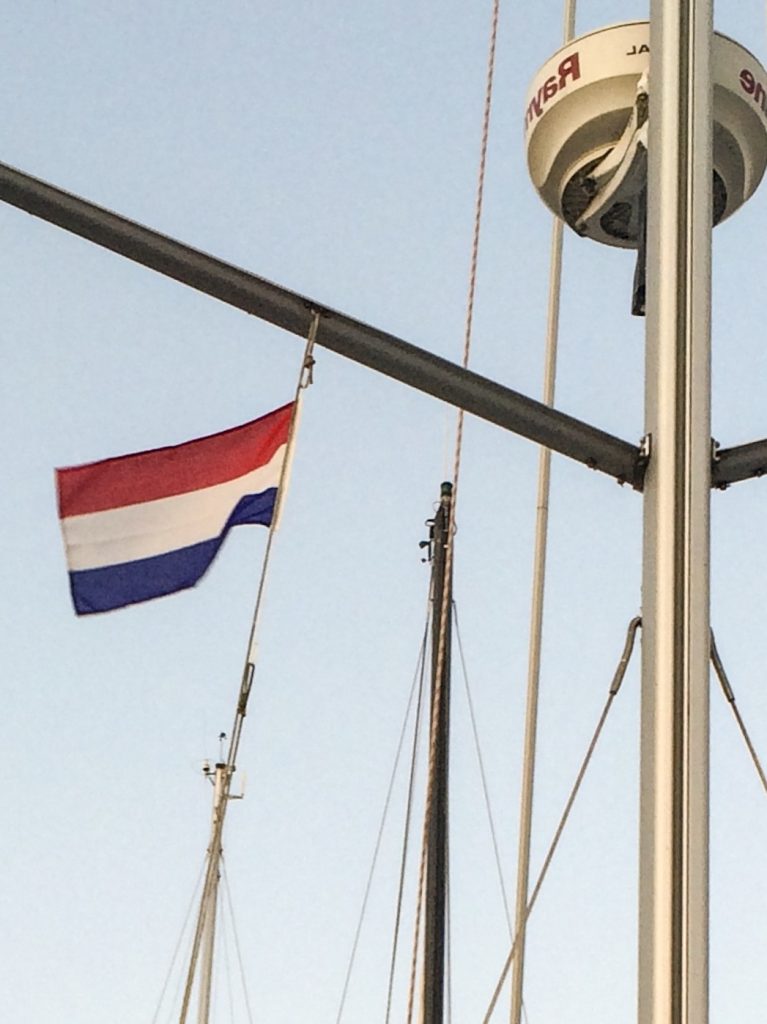 IMG 5137 767x1024 - IMG_5137