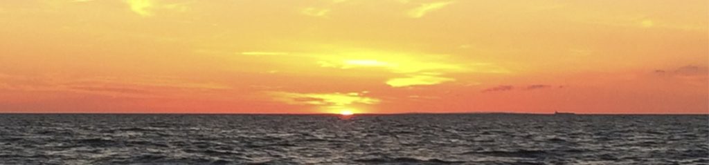 header011 1024x239 - header011