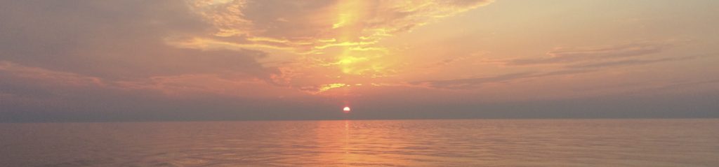 header012 1024x239 - header012