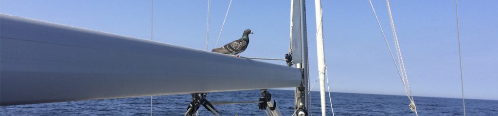 header030 1024x239 - header030