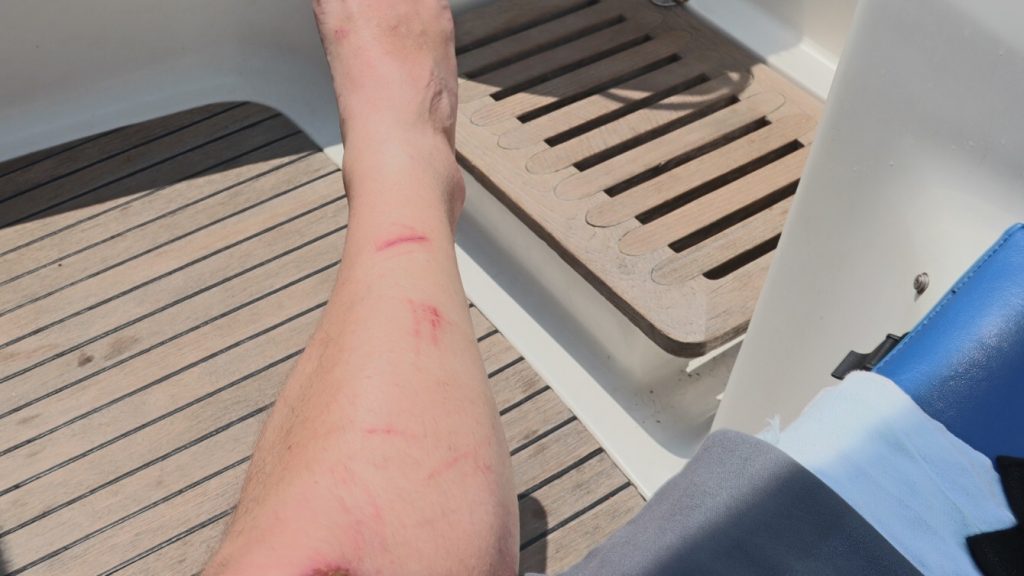 83A565FE 4595 4F99 B6B0 5BDCAD97ED9F 1024x576 - 83A565FE-4595-4F99-B6B0-5BDCAD97ED9F