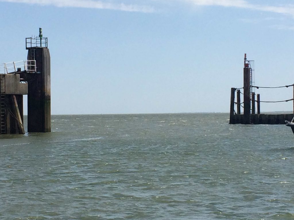 IMG 4960 1024x768 - IMG_4960