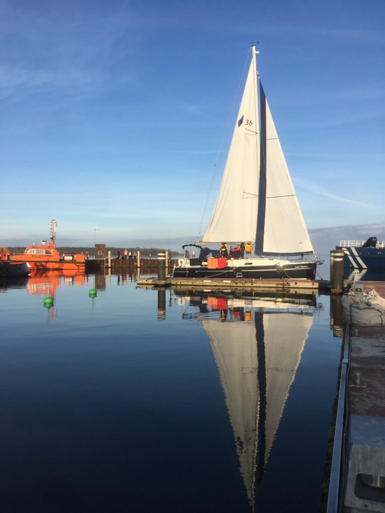 IMG 3788 768x1024 - IMG_3788